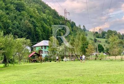 Proprietate specială, de 200 mp, în Remeți
