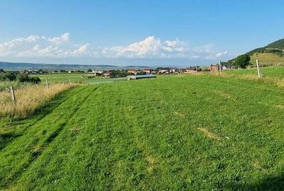 Teren de 5000 mp, în Gura Râului - 6