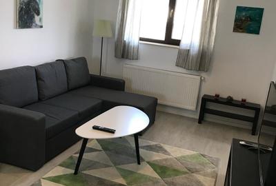 Apartament cu 2 camere, mobilat în Otopeni