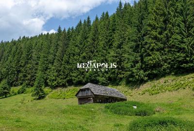 Teren Construcții intravilan de 12307 mp, în Moieciu de Sus - 6