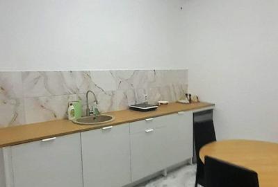 Duplex cu 2 camere cu Teren 50 Mp în P-ța Unirii - 2