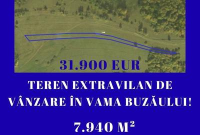 Teren de 7940 mp, în Vama Buzăului - 8