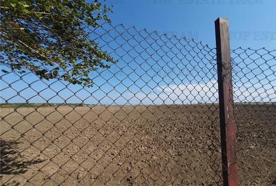 Teren Construcții intravilan de 15743 mp, în Agigea - 17