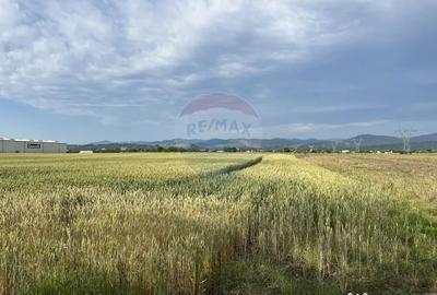 Teren de 8800 mp, în Roznov - 1