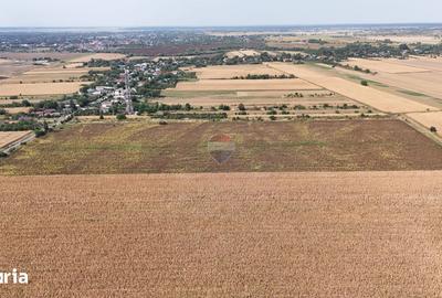 Teren de 8648 mp, în Ulmi