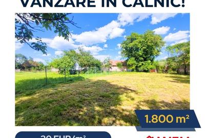 Teren Construcții intravilan de 1800 mp, în Calnic - 1