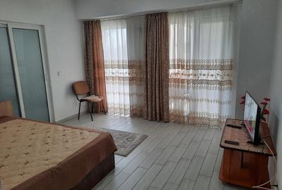 Garsonieră decomandată în Dudești - 2