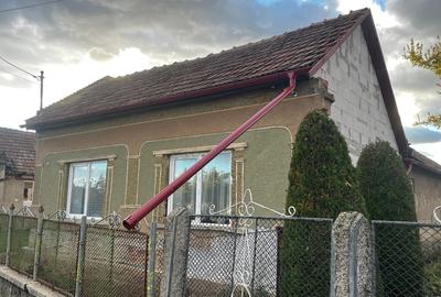 Casă individuală cu 3 camere cu Canalizare în Berveni - 8