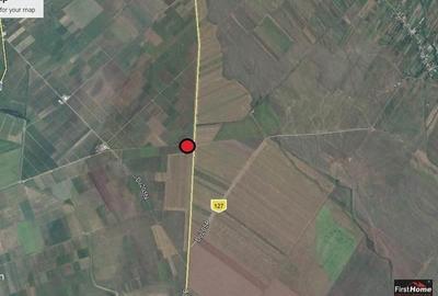 Teren agricol extravilan de 7500 mp, în Bolotești - 7