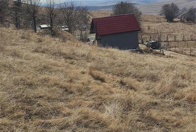 Teren de 4100 mp, în Sălicea - 5