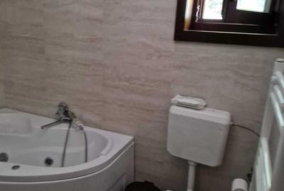 Casă cu 3 camere în Borzont