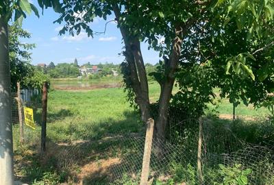 Teren Construcții intravilan de 3487 mp, în Petrăchioaia - 5