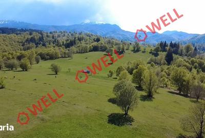 Teren de 2702 mp, în Vama Buzăului - 6