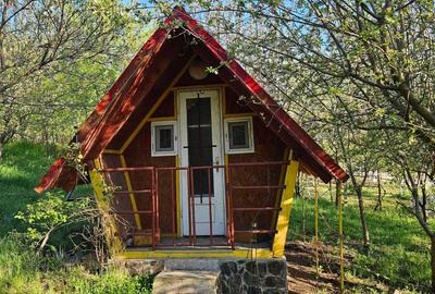 Casă cu 2 camere în Ațintiș - 3