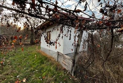 Casă individuală cu 1 camere cu Teren 1341 Mp în Strâmba-Jiu - 7