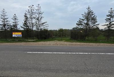 Teren agricol extravilan de 18000 mp, în Boțârlău - 30