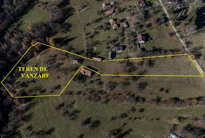 Teren Construcții intravilan de 8938 mp, în Bran - 3