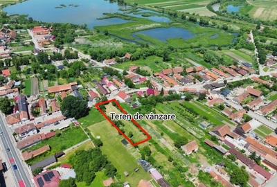 Teren de 1251 mp, în Rotbav - 7
