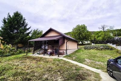 Casă cu 2 camere cu Teren 2647 Mp în Valea Mare - 12