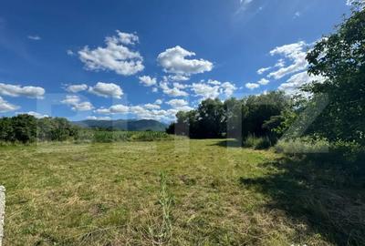 Teren în Sibișel (Râu de Mori) - 2