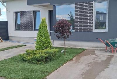 Casă cu 4 camere în Dimieni - 8