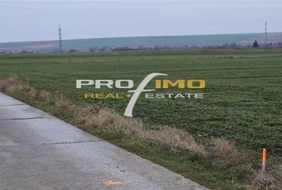 Teren agricol extravilan de 4200 mp, în Corbu - 1