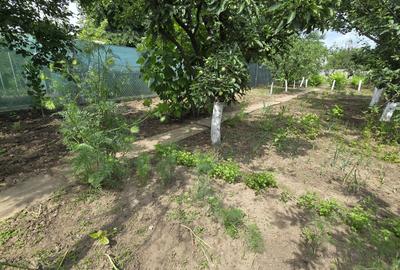 Casă cu 3 camere decomandat în Costi - 2