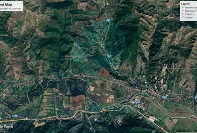 Teren extravilan de 100000 mp, în Berca
