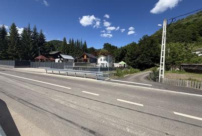 Teren Construcții intravilan de 1500 mp, în Lepșa - 12