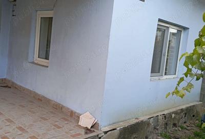Casă cu 2 camere în Coțofenii din Dos - 2