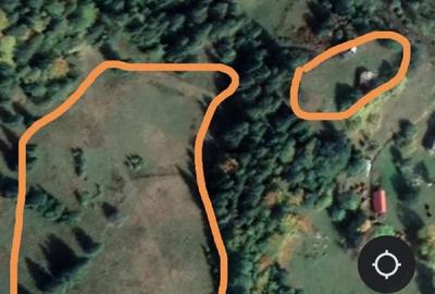Teren de 35000 mp, în Scărișoara