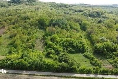 Teren de 4740 mp, în Bălteni - 2