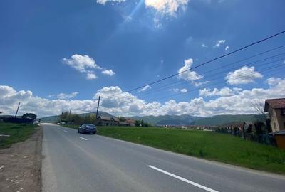 Teren de 7130 mp, în Orlat - 1