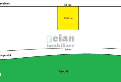 Teren de 7500 mp, în Băneasa