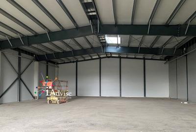 Spațiu industrial, de 540 mp, în Prejmer - 2