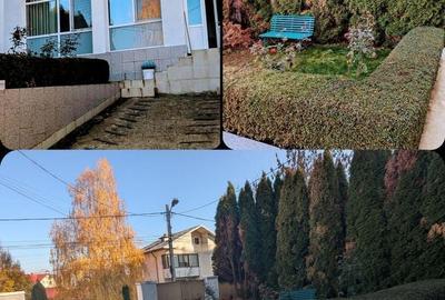 Apartament cu 3 camere în Banat