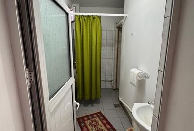 Proprietate specială, de 224 mp, în Big-Bascov - 4