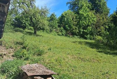 Casă cu Teren 4000 Mp în Central - 4