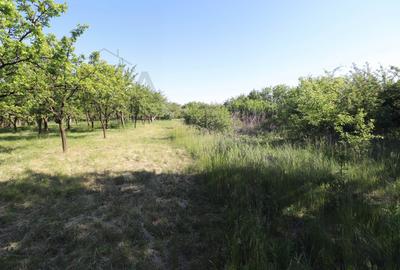 Casă individuală cu 2 camere cu Canalizare în Tinca - 8
