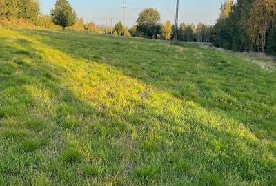 Teren de 5200 mp, în Râșca - 4