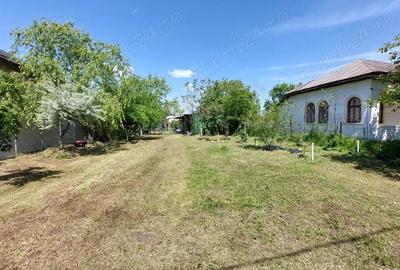 Teren de 1500 mp, în Frumușani - 1