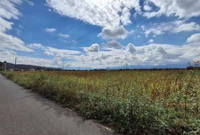 Teren agricol extravilan de 15000 mp, în Șelimbăr - 1