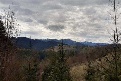 Teren de 7649 mp, în Exterior Vest