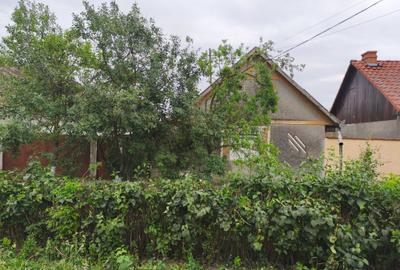 Casă cu 4 camere în Peregu Mic - 3