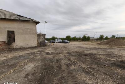 Teren de 10264 mp, în Cojasca