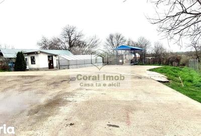 Spațiu comercial, de 10 mp, în Ghimpați - 4