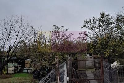 Casă individuală cu 7 camere cu Teren 1500 Mp în Islaz - 38