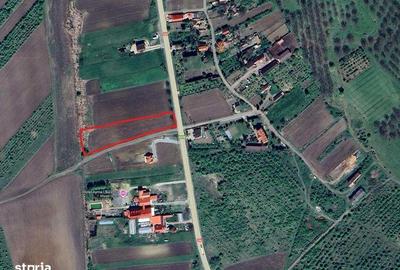 Teren de 5000 mp, în Central
