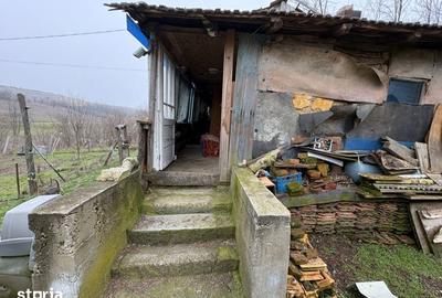 Teren de 2038 mp, în Ghercești - 11