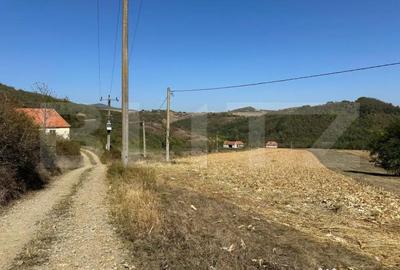 Teren de 14000 mp, în Vințu de Jos - 3